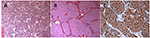 www.frontiersin.org