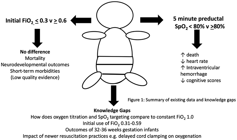 Frontiers Is There A “right” Amount Of Oxygen For Preterm Infant