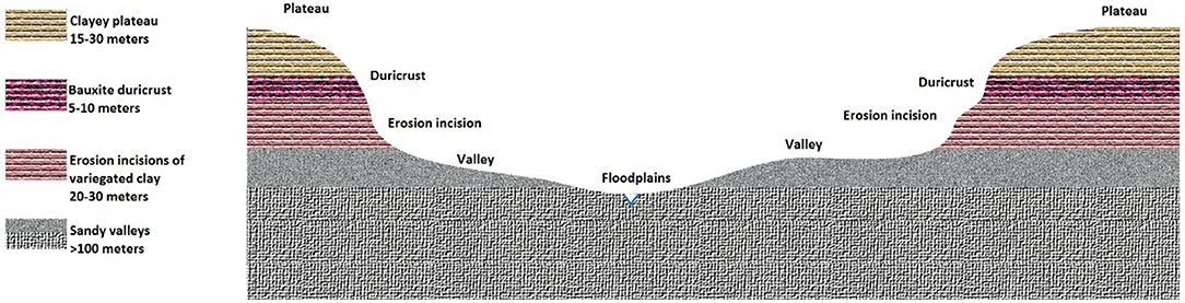 Plateau, PDF, Agricultura