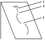 www.frontiersin.org