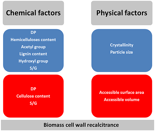 Frontiers Lignocellulosic Biomass Understanding Recalcitrance And Predicting Hydrolysis Chemistry
