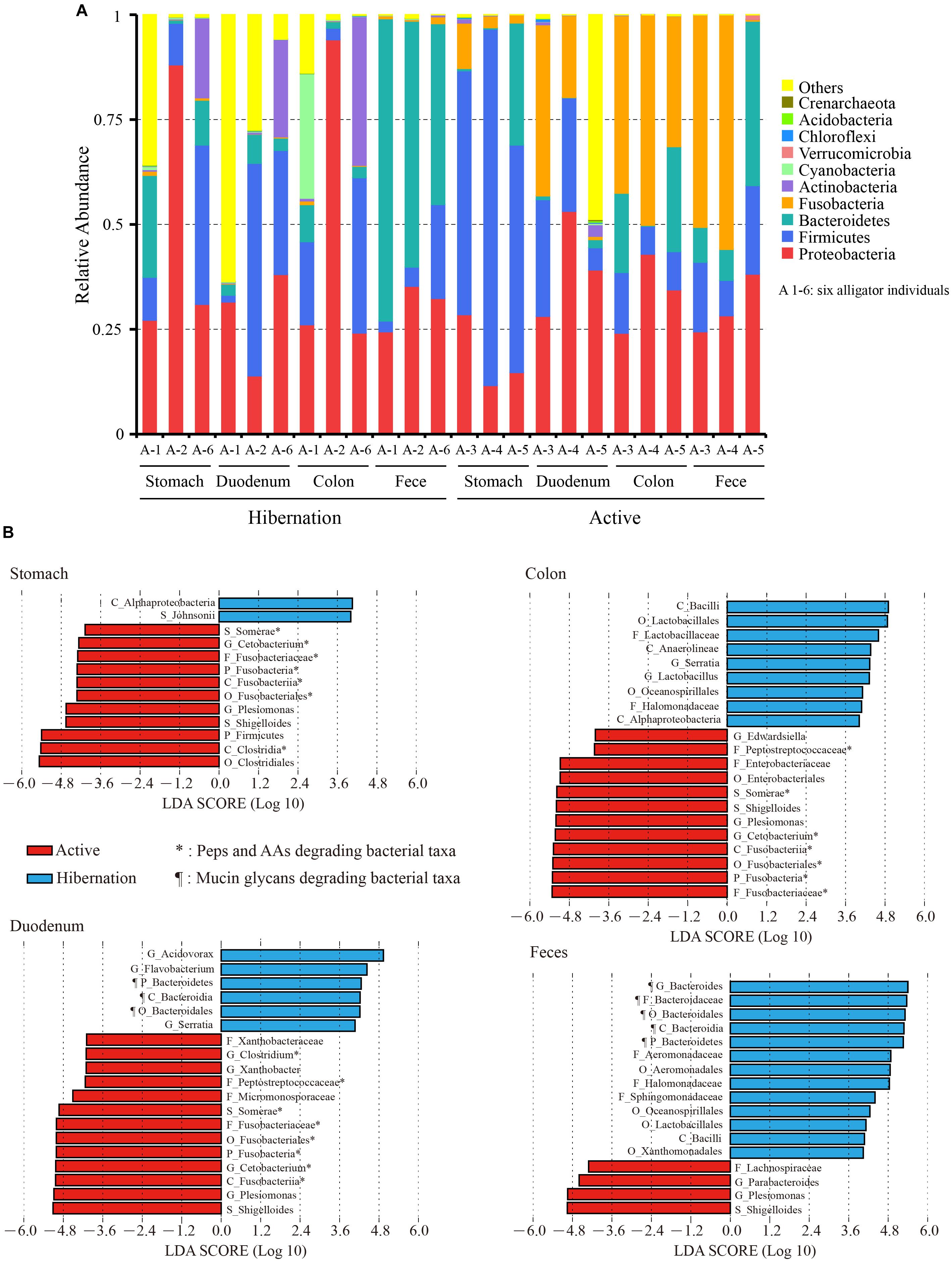 Diving Degree Of Difficulty Chart 2016