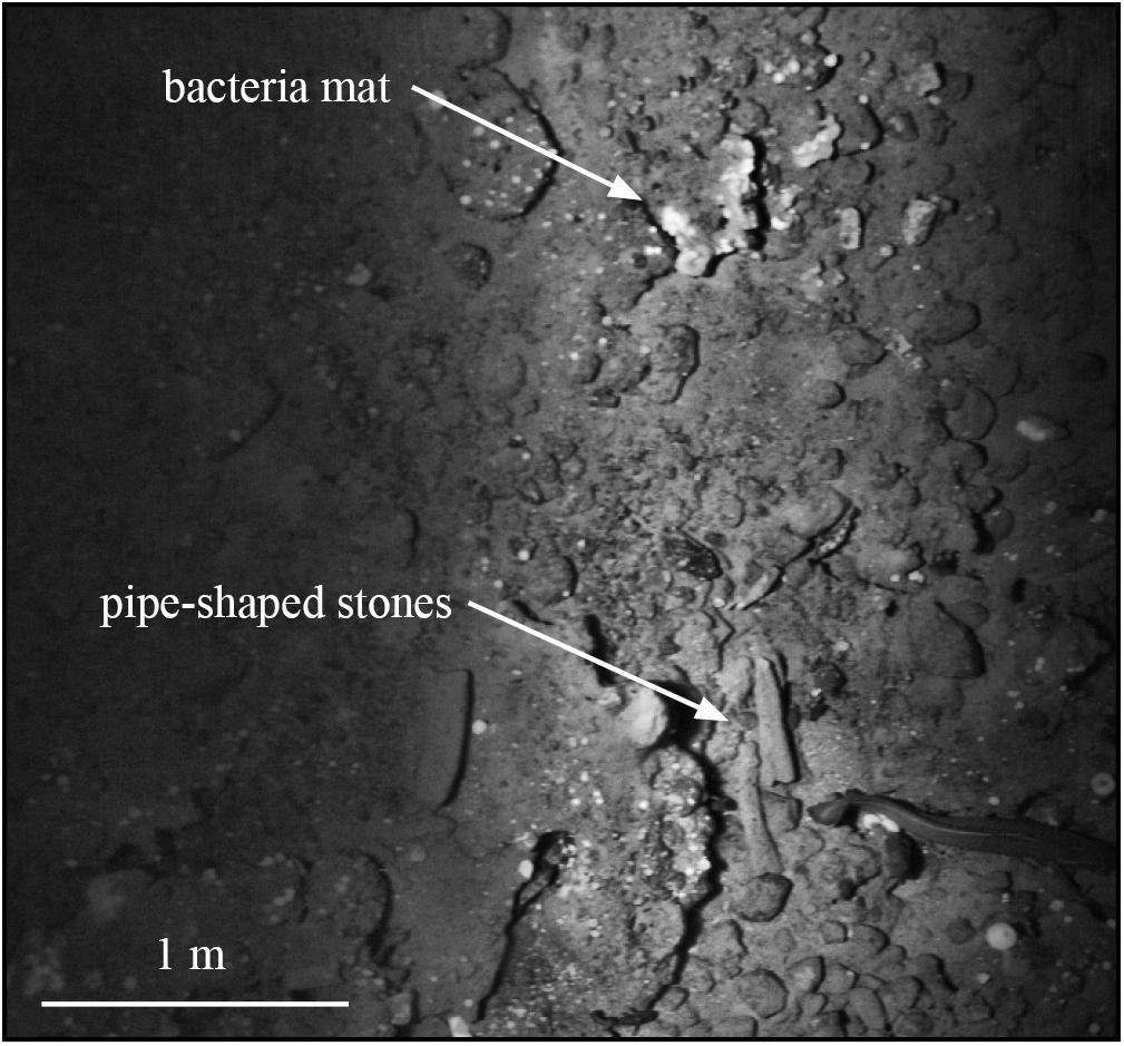 Frontiers | Strategy for Detection and High-Resolution Characterization