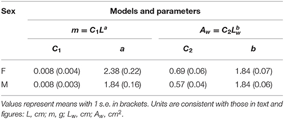 Frontiers A Tale Of Winglets Evolution Of Flight Morphology In Stick Insects Ecology And Evolution