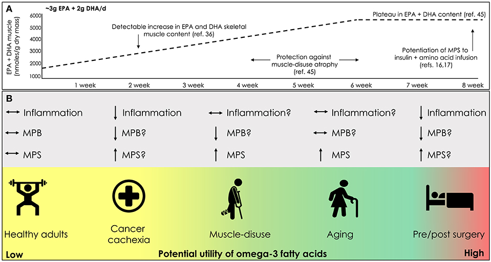 Omega-3 Fatty Acid Supplementation: Helpful for Exercise