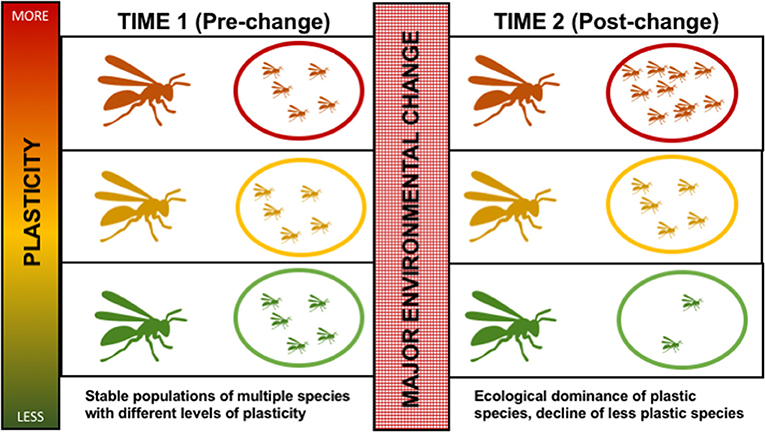 Frontiers A Potential Role For Phenotypic Plasticity In Invasions And