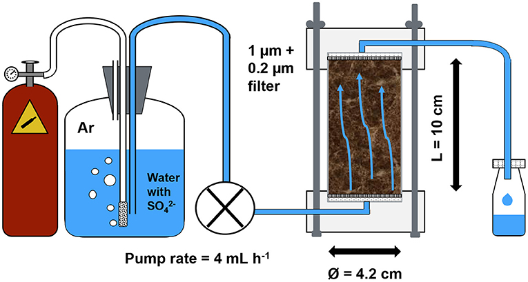 Frontiers Sulfate Mobility In Fen Peat And Its Impact On The Release Of Solutes Environmental Science