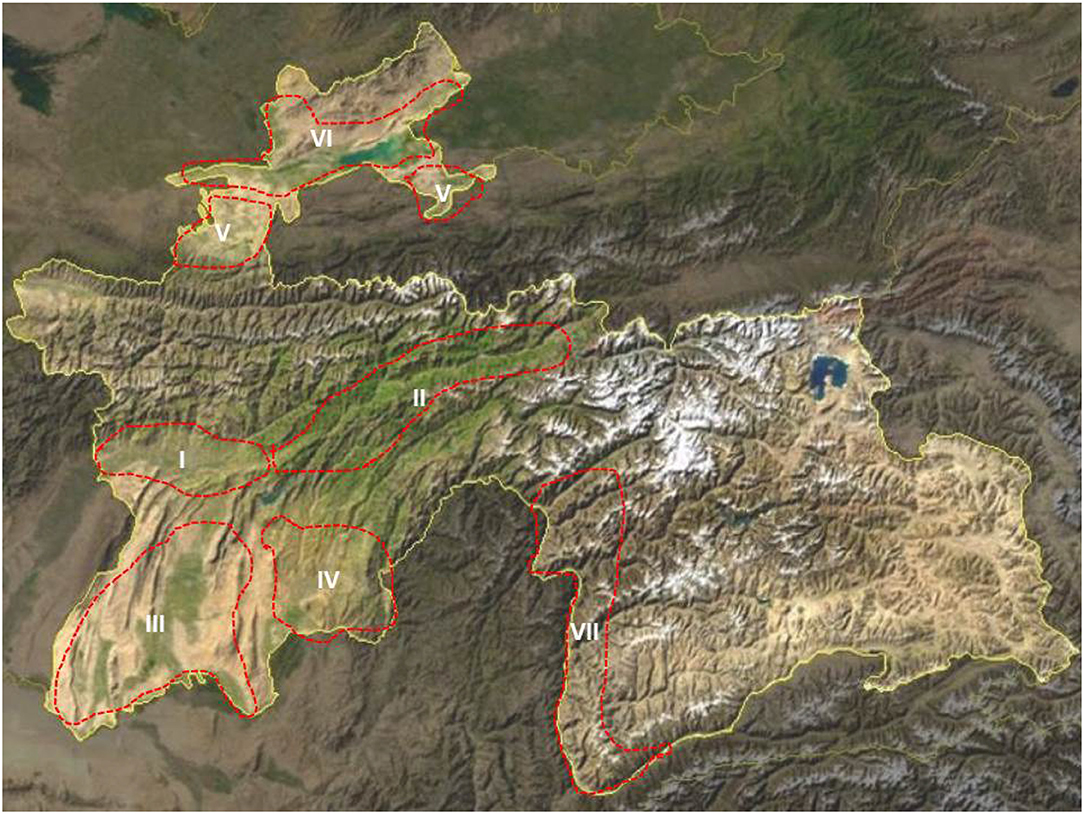 www.frontiersin.org