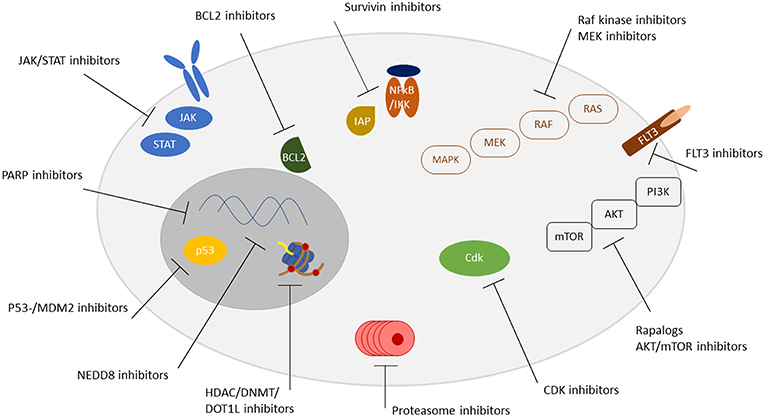 Frontiers  Pharmacogenetics of pediatric acute lymphoblastic leukemia in  Uruguay: adverse events related to induction phase drugs