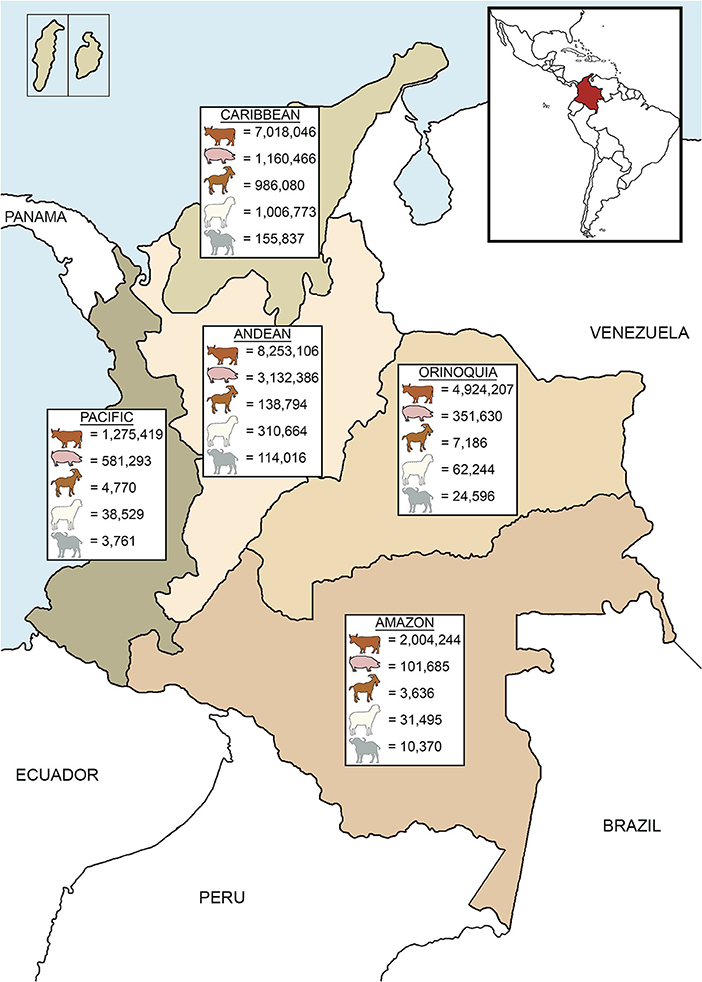 www.frontiersin.org
