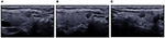 www.frontiersin.org