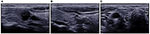 www.frontiersin.org