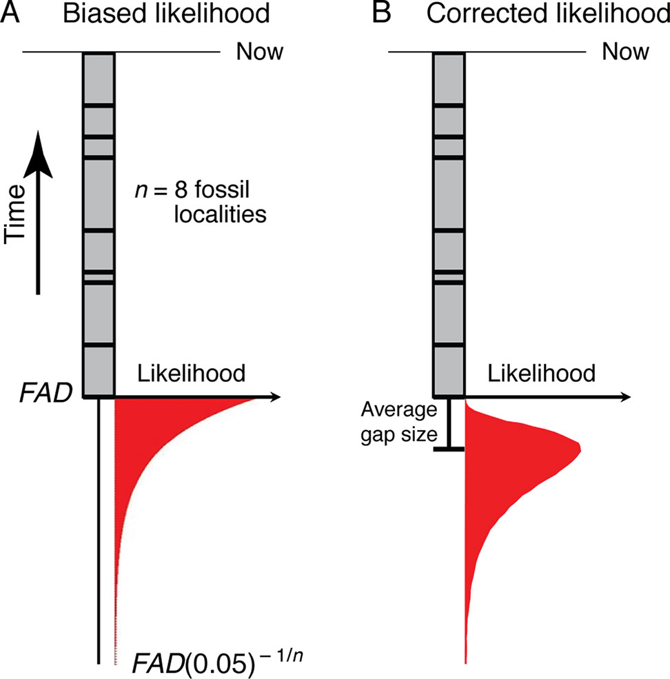 Frontiers  The Making of Calibration Sausage Exemplified by Recalibrating  the Transcriptomic Timetree of Jawed Vertebrates