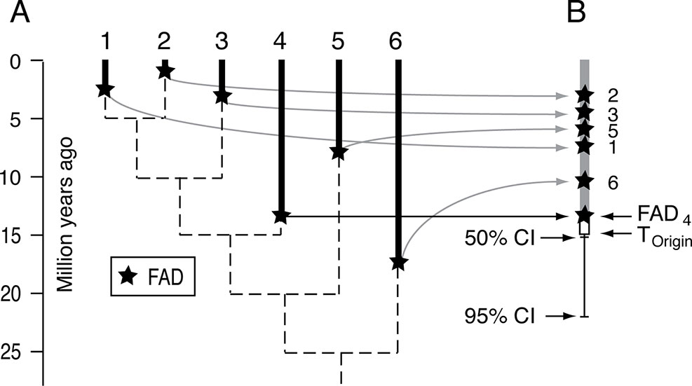 Frontiers  The Making of Calibration Sausage Exemplified by Recalibrating  the Transcriptomic Timetree of Jawed Vertebrates