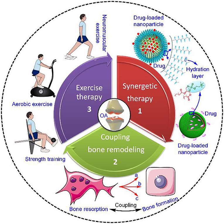 Osteoarthritis treatment