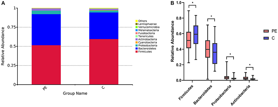 Frontiers | Gut Microbiota Dysbiosis and LPS and TMAO Levels in Patients With Preeclampsia
