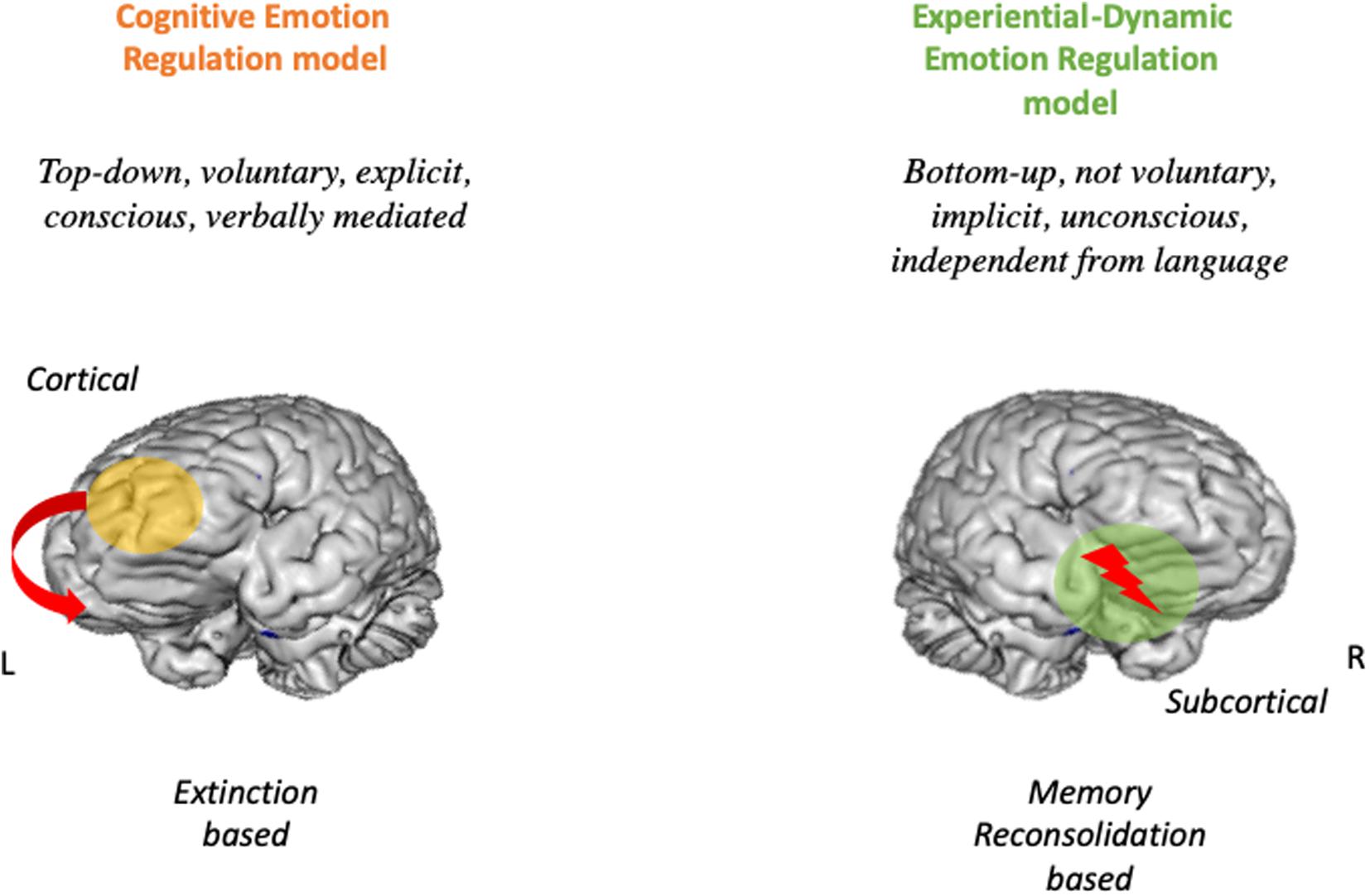 | A Dual Route Model for Regulating Emotions: Comparing Models, and Mechanisms