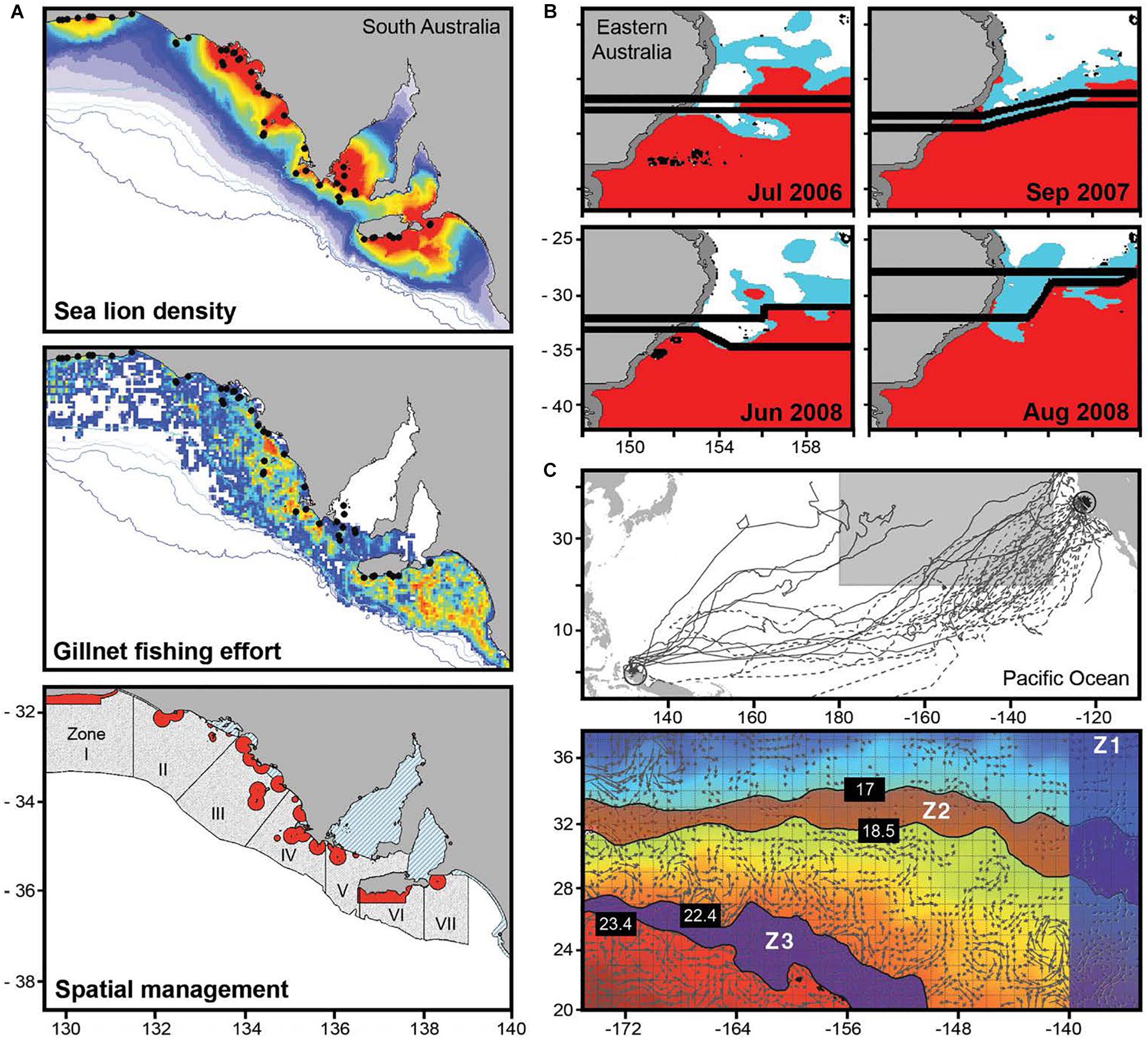 Frontiers | Overhauling Ocean Spatial Planning to Improve Marine Megafauna  Conservation