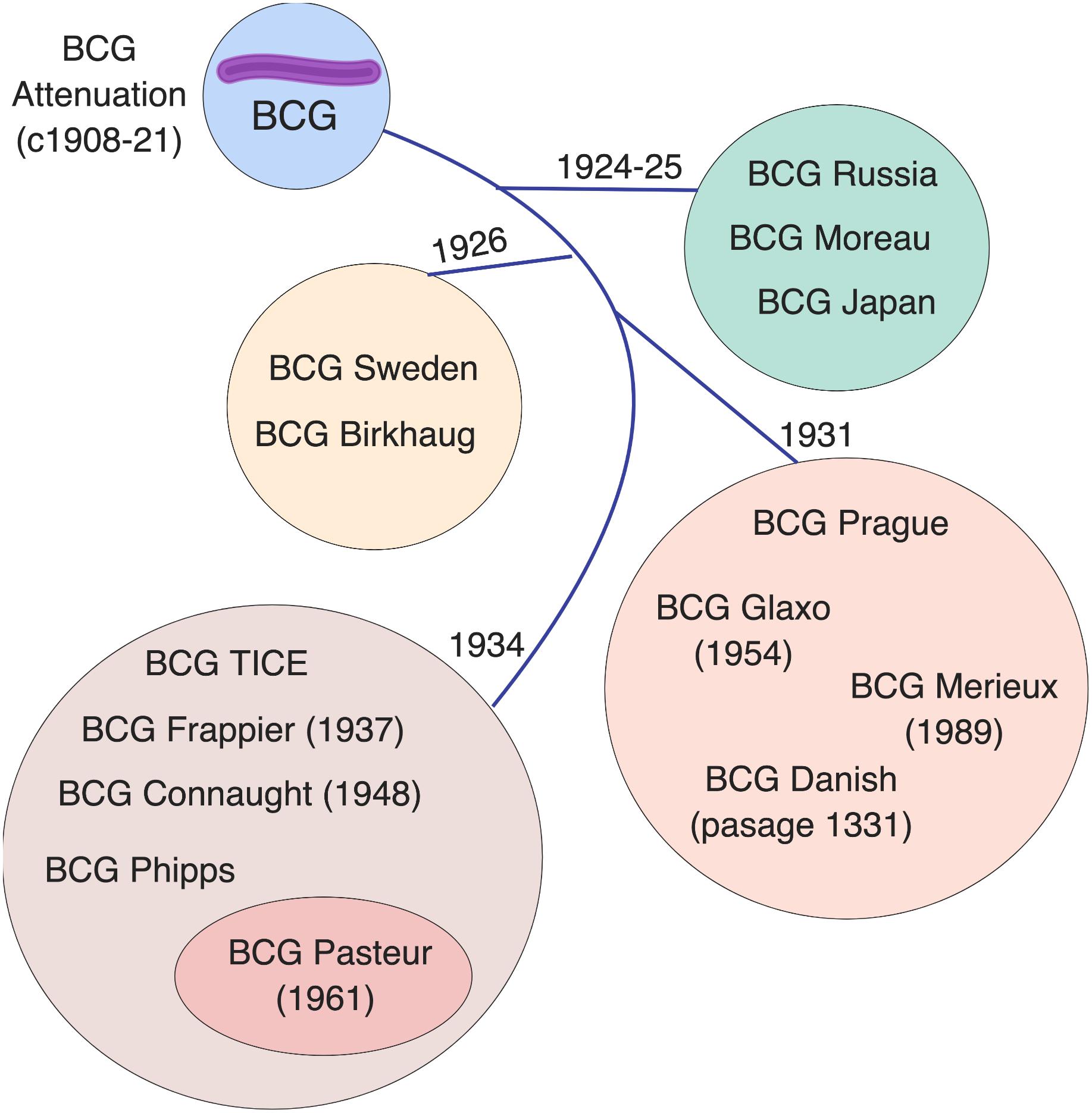 bcg case study workshop