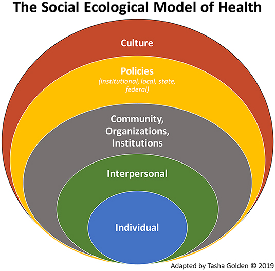 what is socio medical model