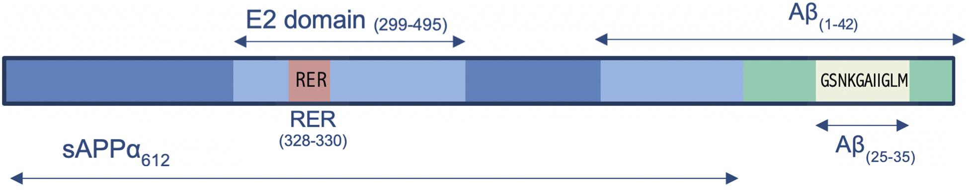 Preparing The Cdna Probe Flow Chart 15 3