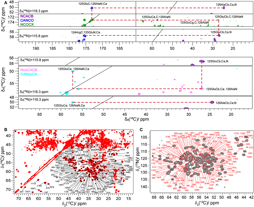 Frontiers | Including Protons in Solid-State NMR Resonance Assignment and Secondary Analysis: The Example of Polymerase II Subunits Rpo4/7