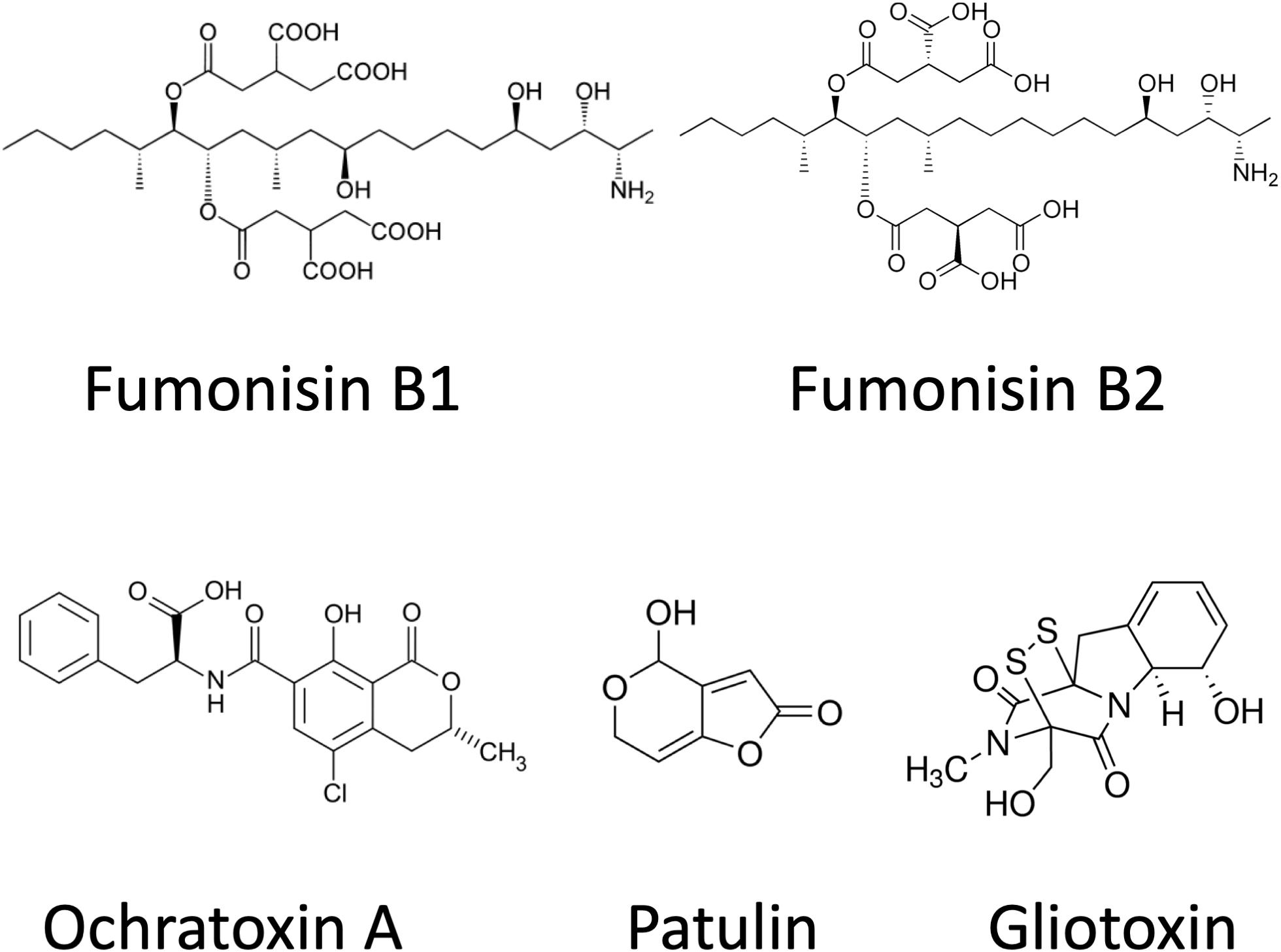 EFSA Spotlight: What is a 'Moderate Amount' of Caffeine, Anyway