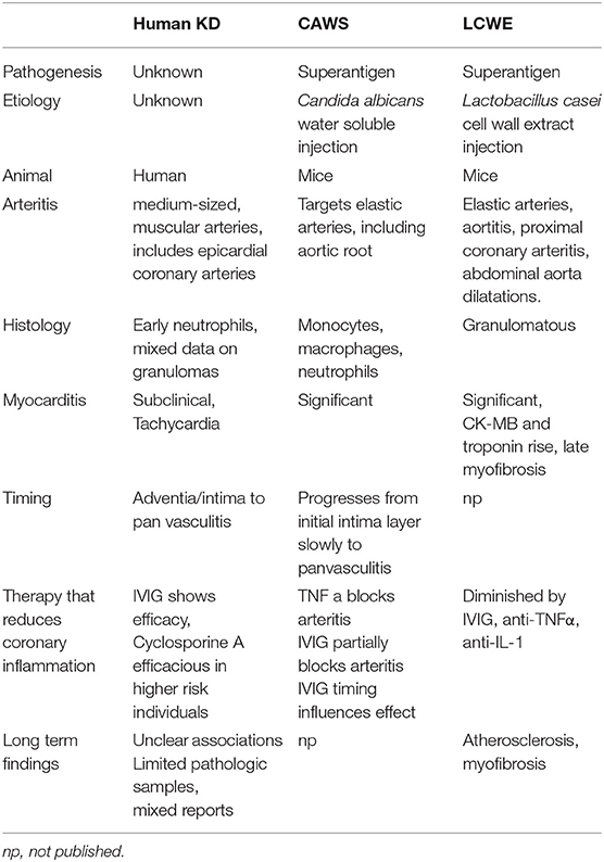 kawasaki arteritis