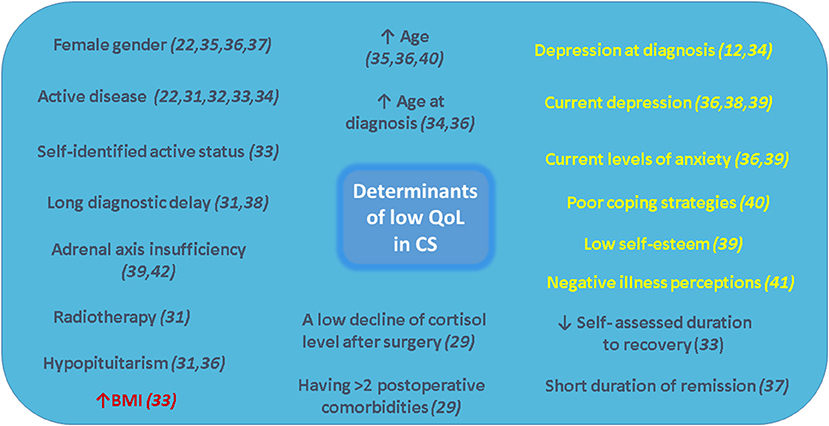 Cushing Syndrome: What is It, Causes, Treatment, and More