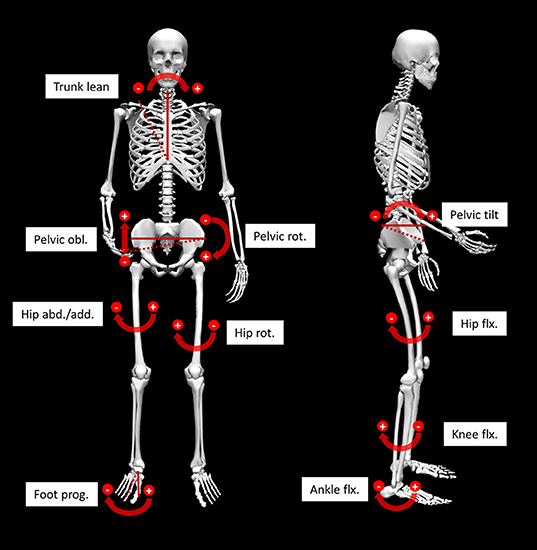 www.frontiersin.org