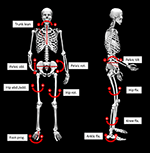 www.frontiersin.org