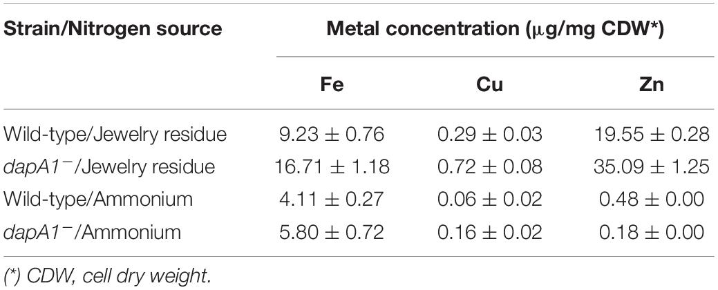 Frontiers Role Of The Dihydrodipicolinate Synthase Dapa1 On Iron