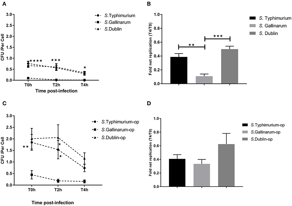Frontiers Dynamics And Outcome Of Macrophage Interaction Between