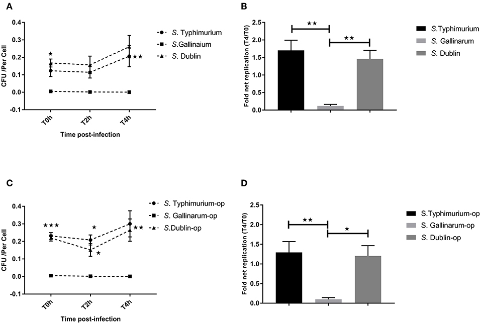 Frontiers Dynamics And Outcome Of Macrophage Interaction Between