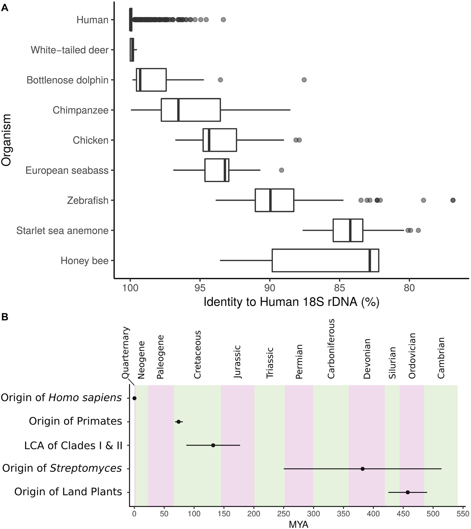 Frontiers Taxonomic And Metabolic Incongruence In The Ancient Genus Streptomyces Microbiology