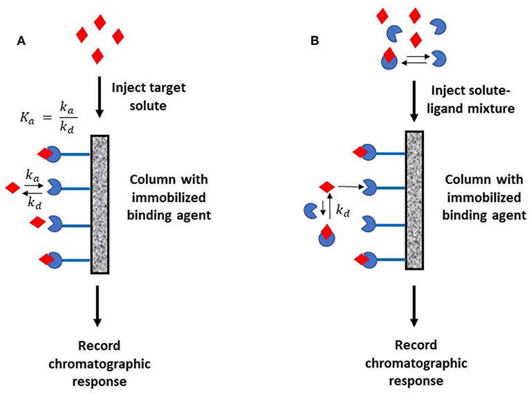 affinity chromatography