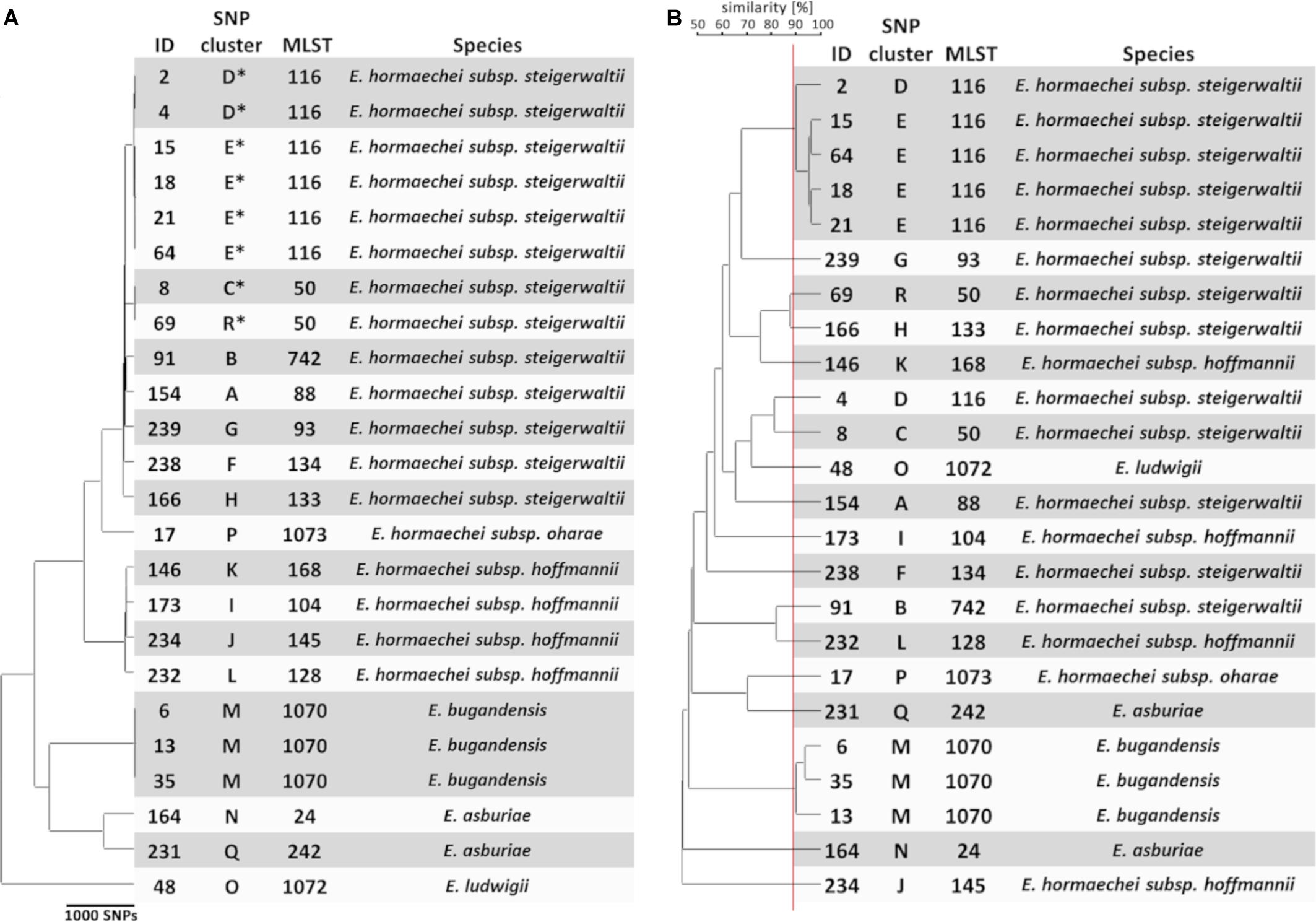 Differentiation Of Enterobacteriaceae By Biochemical Tests Chart