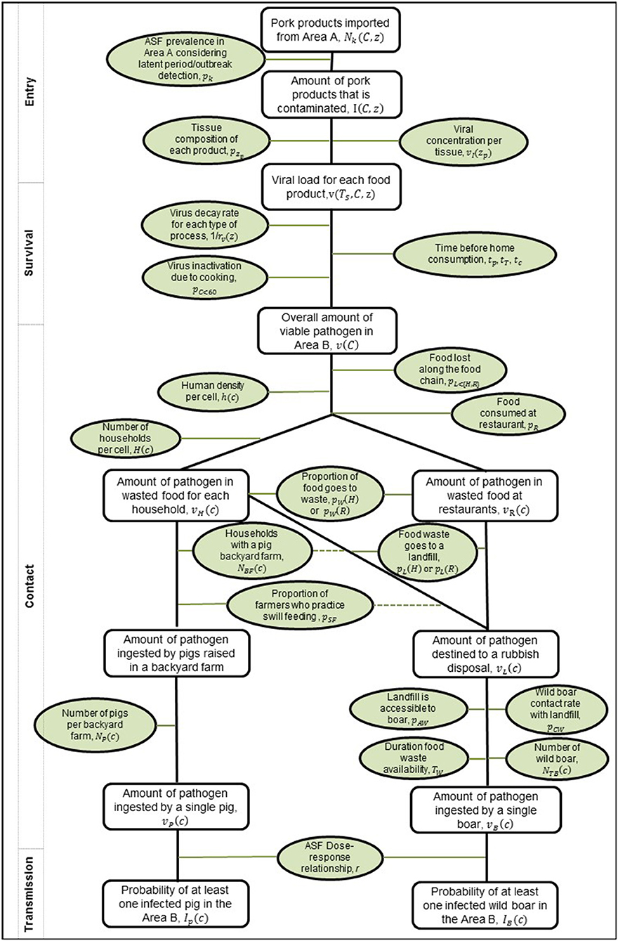 Risk of African swine fever virus introduction into the United