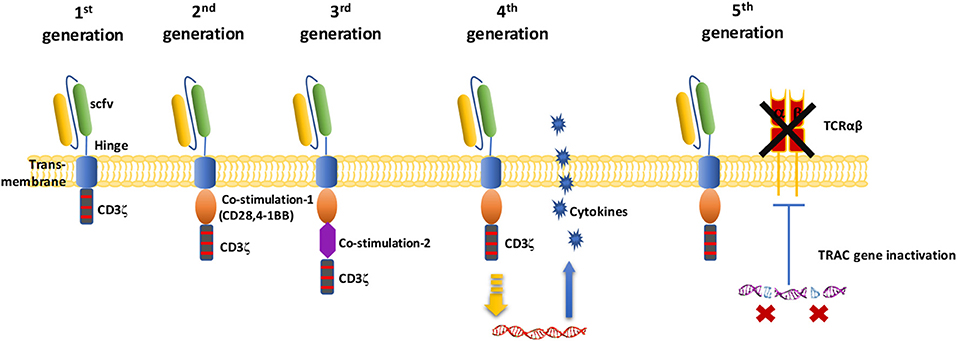 targeted agents mesothelioma