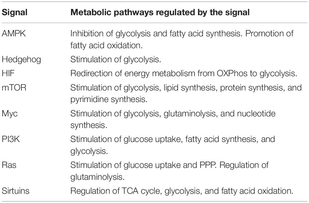 Frontiers Current Status And Future Prospects Of Genome Scale Metabolic Modeling To Optimize The Use Of Mesenchymal Stem Cells In Regenerative Medicine Bioengineering And Biotechnology