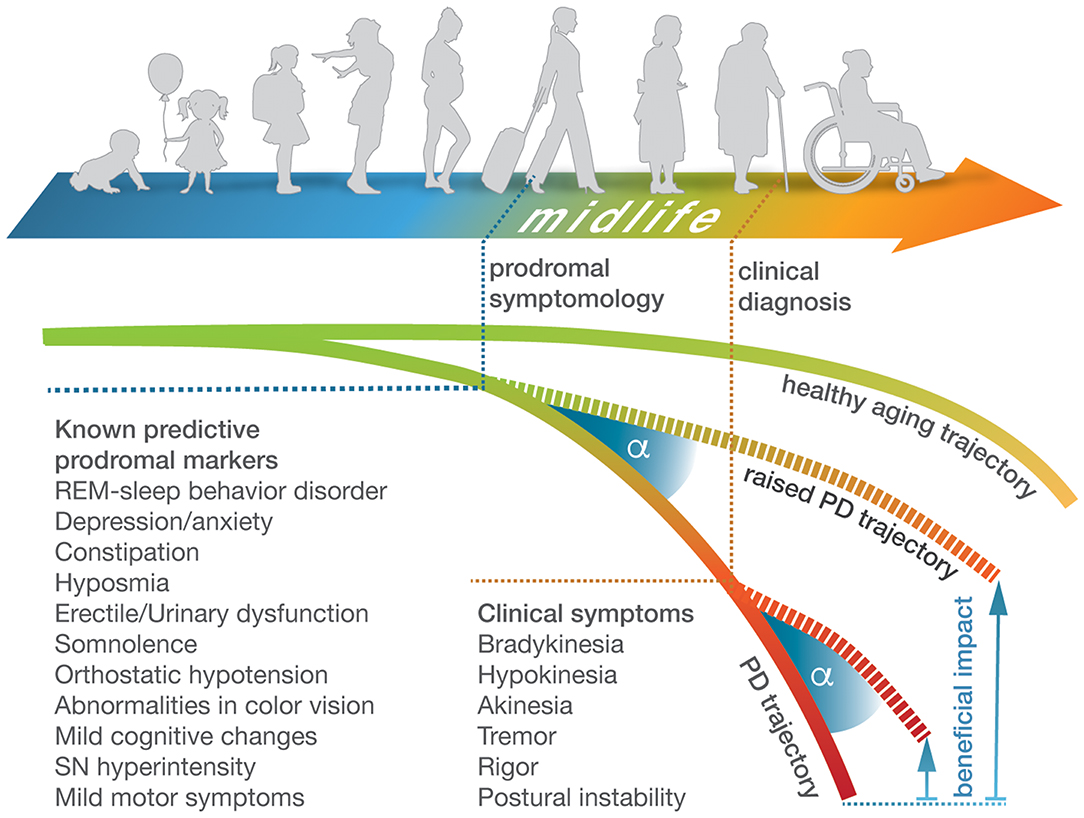 Frontiers | The Challenge and Opportunity to Diagnose Parkinson's Disease in Midlife | Neurology
