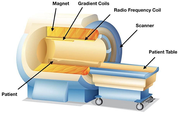 איור 1 - רכיבים של סורק MRI [1].