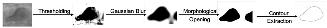 www.frontiersin.org