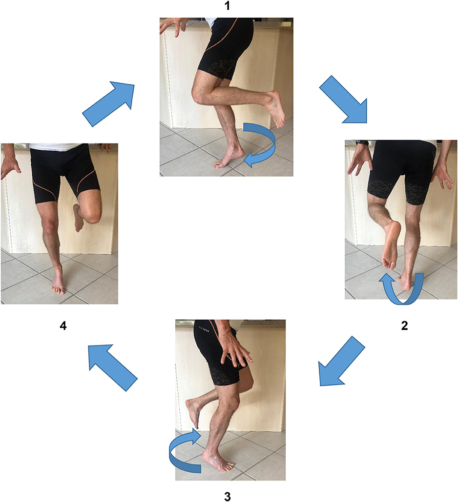 ankle isometric exercises