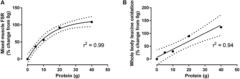 Protein Synthesis for Recovery