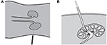 www.frontiersin.org