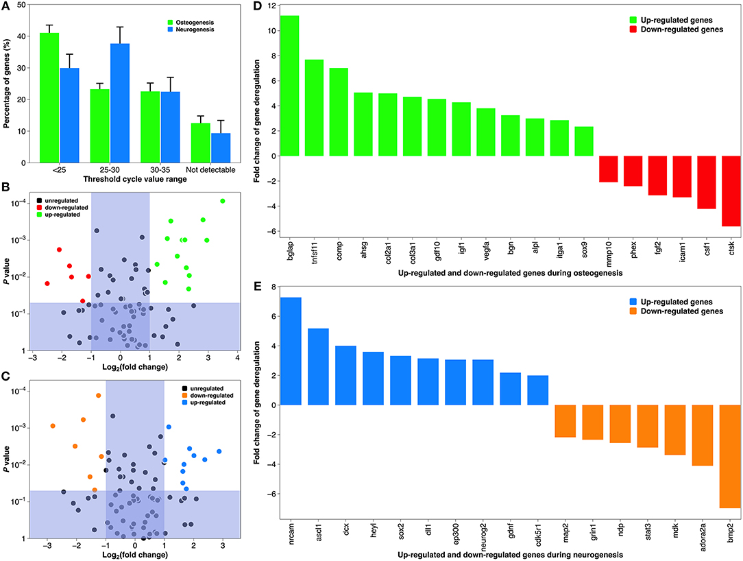 Poe Exp Efficiency Chart