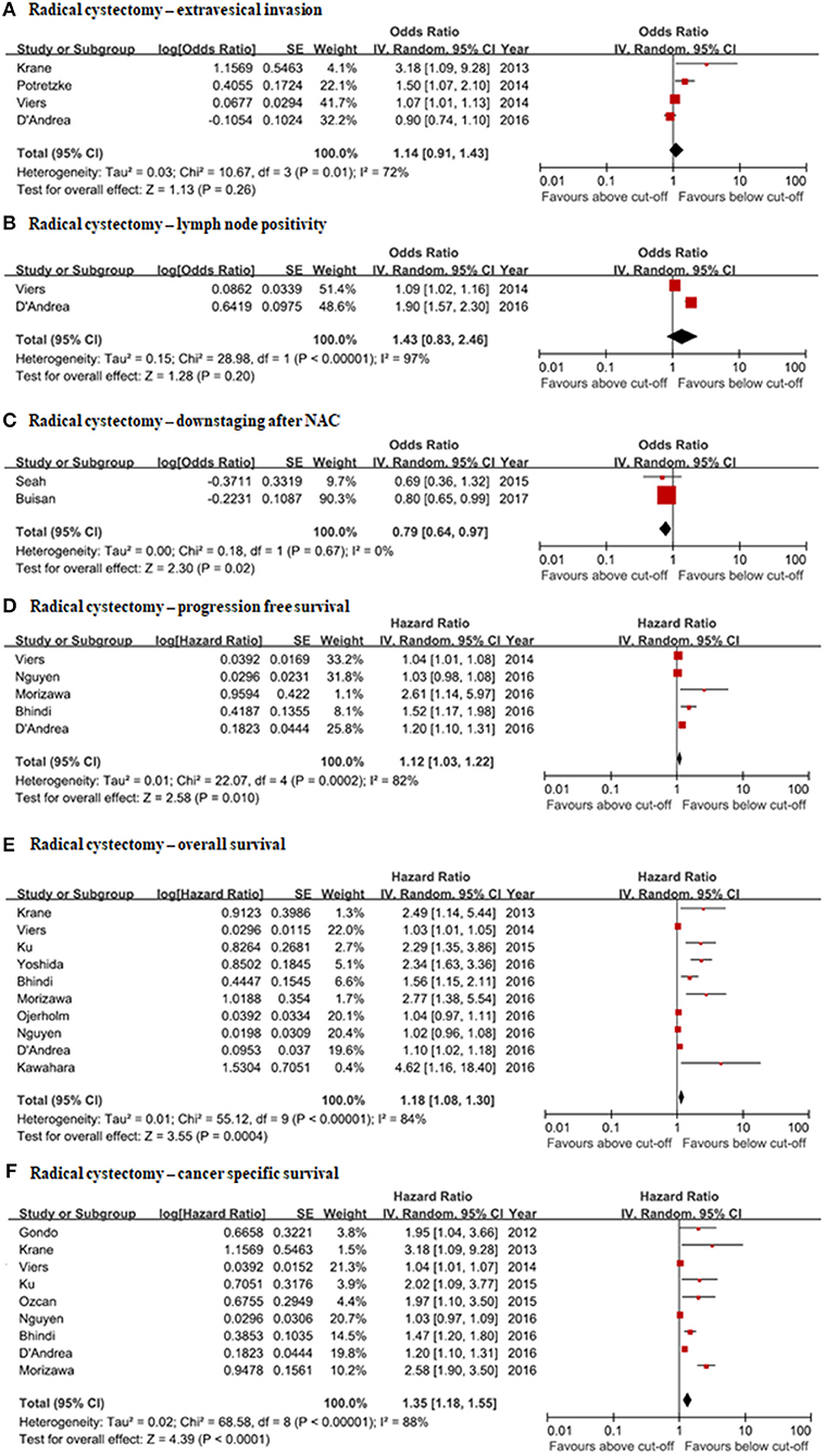 Frontiers Clinical Significance Of Pre Treated Neutrophil Lymphocyte Ratio In The Management Of Urothelial Carcinoma A Systemic Review And Meta Analysis Oncology