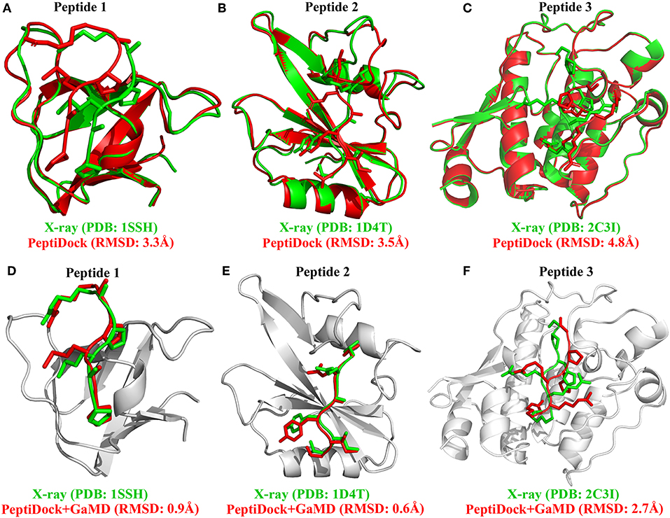 Frontiers Improved Modeling Of Peptide Protein Binding Through