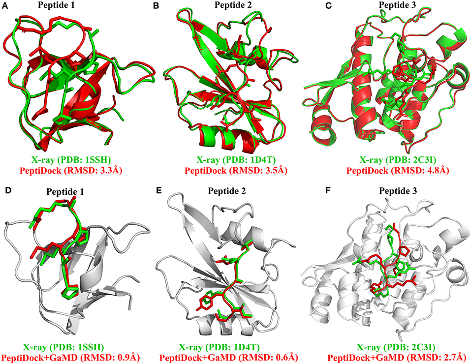 Frontiers Improved Modeling Of Peptide Protein Binding Through Global Docking And Accelerated Molecular Dynamics Simulations Molecular Biosciences